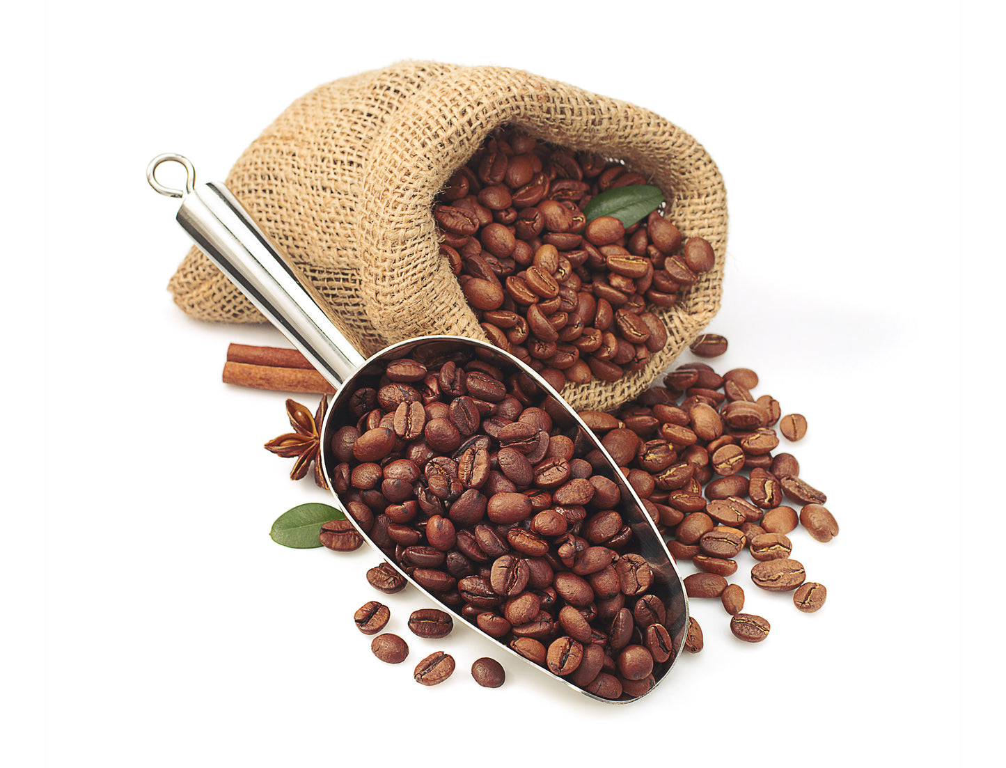 Roasted coffee beans in a burlap bag with a metal scoop on a white background